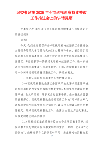纪委书记在2025年全市巡视巡察持续整改工作推进会上的讲话提纲