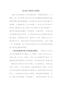 县20XX年组织工作要点