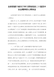 自然资源干部关于学习贯彻党的二十届四中全会精神的心得体会