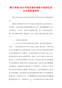 银行系统2025年党支部支部班子组织生活会对照检查材料