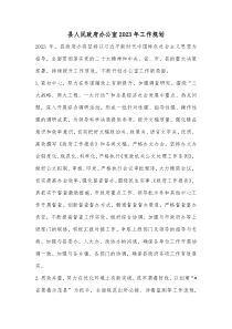 县人民政府办公室20XX年工作规划