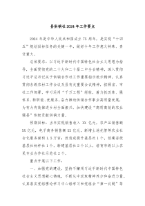 县供销社20XX年工作要点