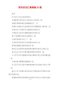 领导讲话汇集精编30篇