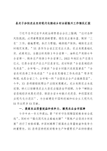 县关于加快农业农村现代化推动乡村全面振兴工作情况汇报