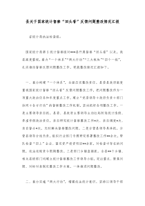 县关于国家统计督察回头看反馈问题整改情况汇报