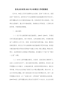 县农业农村局20XX年乡村建设工作进展情况