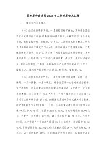 县发展和改革局20XX年工作开展情况汇报