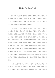 县城城市党建试点工作汇报