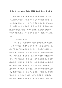 县委书记20XX年度主题教育专题民主生活会个人发言提纲