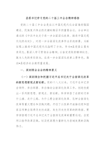 县委书记学习党的二十届三中全会精神感悟