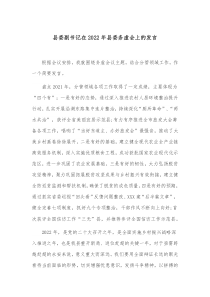 县委副书记在20XX年县委务虚会上的发言