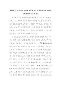 县委班子20XX年度主题教育专题民主生活会班子发言提纲对照新的6个方面