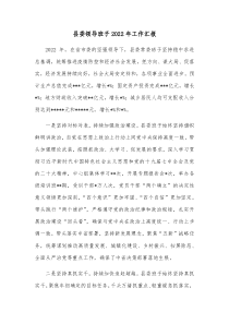 县委领导班子20XX年工作汇报