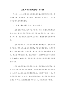 县抓实非公领域党建工作汇报