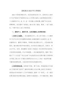 县政府办20XX年工作规划