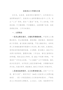 县政府办工作情况汇报