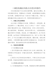 三级医院廉洁风险点自查自纠报告(材料)