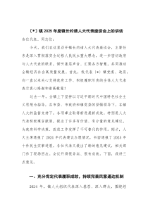 乡镇2025年度镇长约请人大代表座谈会上的讲话(材料)