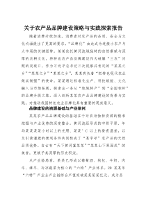 关于农产品品牌建设策略与实践探索报告(材料)