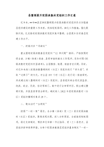 县整顿提升软弱涣散村党组织工作汇报