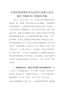 在国企集团基层党支部书记党建与业务融合专题培训上的辅导讲稿(材料)
