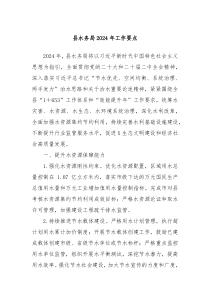 县水务局20XX年工作要点