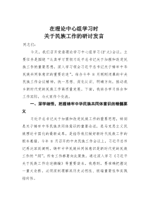 在理论中心组学习时关于民族工作的研讨发言(材料)