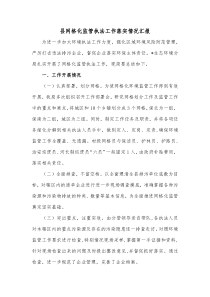 县网格化监管执法工作落实情况汇报