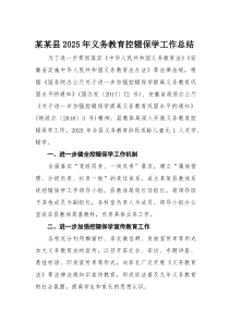 某某县2025年义务教育控辍保学工作总结(材料)