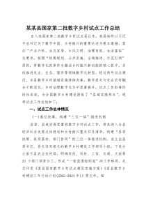 某某县国家第二批数字乡村试点工作总结(材料)
