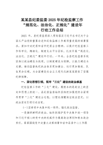 某某县纪委监委2025年纪检监察工作“规范化、法治化、正规化”建设年行动工作总结(材料)