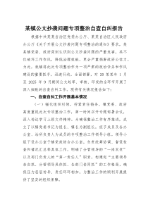 某镇公文抄袭问题专项整治自查自纠报告(材料)