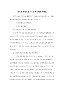 向区委书记汇报XXX经济区的有关情况