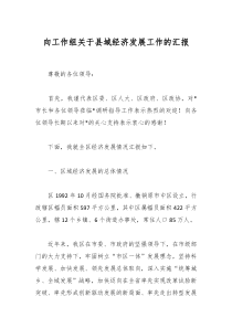 向工作组关于县域经济发展工作的汇报
