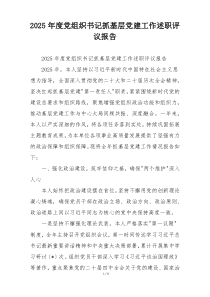 2025年度党组织书记抓基层党建工作述职评议报告