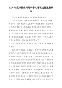 2025年度市民政局局长个人述职述德述廉报告