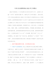 中共XX县委常委会20XX年工作要点