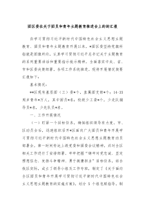 团区委在关于团员和青年主题教育推进会上的的汇报