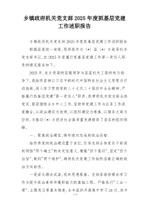 乡镇政府机关党支部2025年度抓基层党建工作述职报告