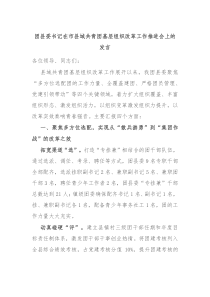 团县委书记在市县域共青团基层组织改革工作推进会上的发言