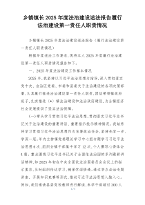 乡镇镇长2025年度法治建设述法报告履行法治建设第一责任人职责情况