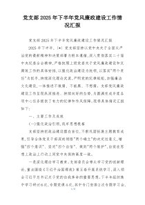 党支部2025年下半年党风廉政建设工作情况汇报