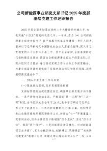 公司新能源事业部党支部书记2025年度抓基层党建工作述职报告