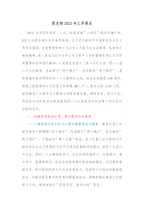 团支部20XX年工作要点