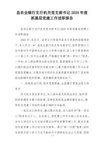 县农业银行支行机关党支部书记2025年度抓基层党建工作述职报告