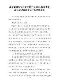 县工商银行支行党支部书记2025年度党支部书记抓基层党建工作述职报告