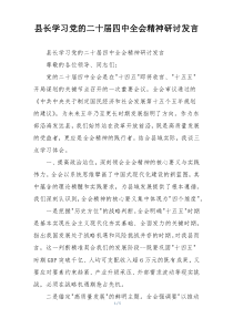 县长学习党的二十届四中全会精神研讨发言