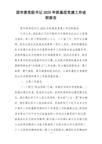 团市委党组书记2025年抓基层党建工作述职报告