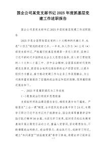 国企公司某党支部书记2025年度抓基层党建工作述职报告