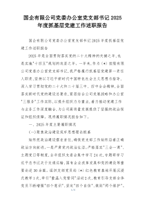 国企有限公司党委办公室党支部书记2025年度抓基层党建工作述职报告